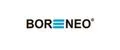 Bor Neo