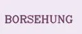 Borsehung