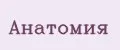 Анатомия