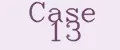 Case 13