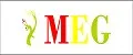 МЭГ