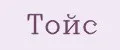 Тойс