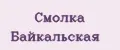 Смолка Байкальская