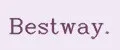 Bestway.