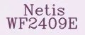 Netis WF2409E