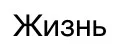 жизнь