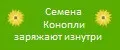 Семена пищевые, очищенные, урожай 2021г.