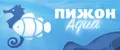 Пижон Аква