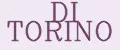 DI TORINO