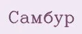 Самбур
