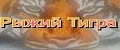 Рыжий Тигра