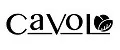 cavolo
