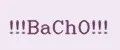 BACHO