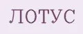Лотус