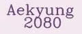 Aekyung 2080