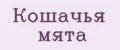 Кошачья мята