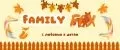 Аналитика бренда Family Fox на Wildberries