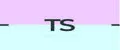 Trend_Store