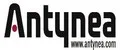 Antynea