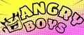 Angry boys
