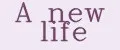 A new life