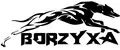 BORZYXA