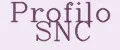 Profilo SNC
