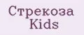 Стрекоза Kids