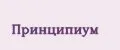 Принципиум