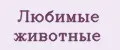 Любимые животные