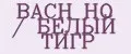 BACH HO / БЕЛЫЙ ТИГР