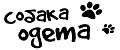 Собака Одета