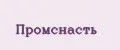Промснасть