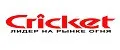Cricket