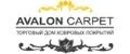 AVALON CARPET