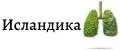 ИСЛАНДИКА