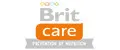 Brit Care