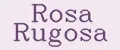 Rosa Rugosa