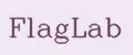 Аналитика бренда FlagLab на Wildberries