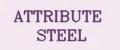 ATTRIBUTE STEEL