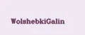 WolshebkiGalin