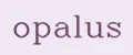 Аналитика бренда opalus на Wildberries