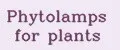 Аналитика бренда Phytolamps for plants на Wildberries