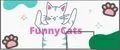 FunnyCats