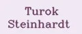 Turok Steinhardt