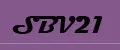 Аналитика бренда sbv21 на Wildberries