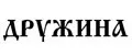 ДРУЖИНА