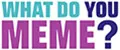 Аналитика бренда What Do You Meme? на Wildberries