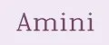 Amini