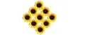 Nine Sunflowers